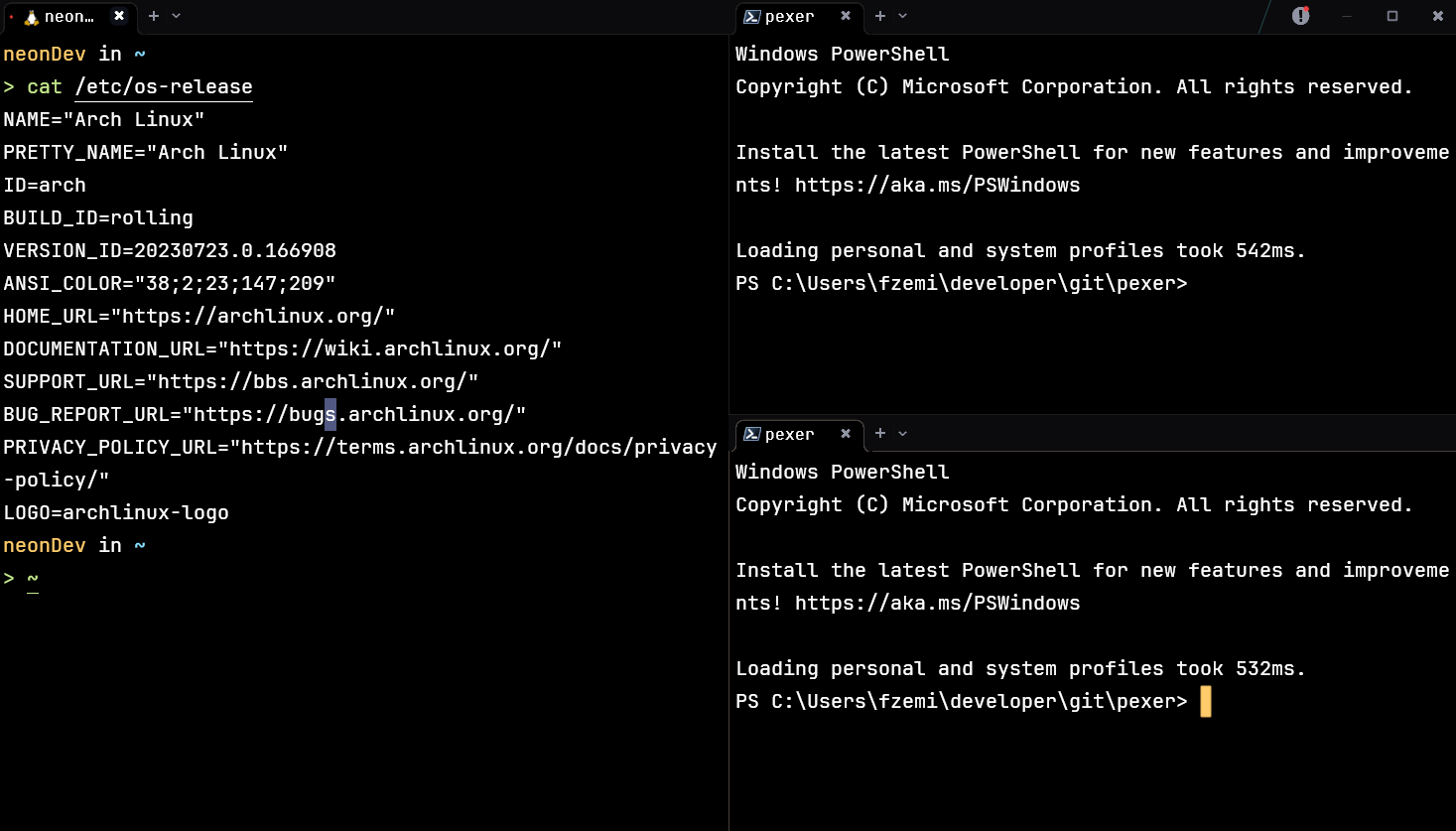 Pexer Windows 11 Terminal Interface